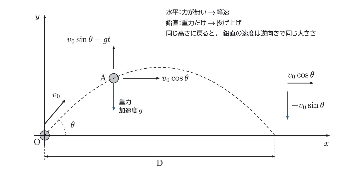 2024年鹿児島大学医学部物理 第1問 解答の方針の図